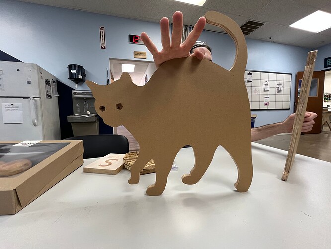 Standing Up Cat - Austin