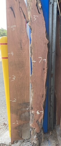 image13 (3) - Copy