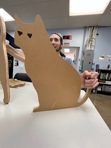 Sitting Down Cat - Austin