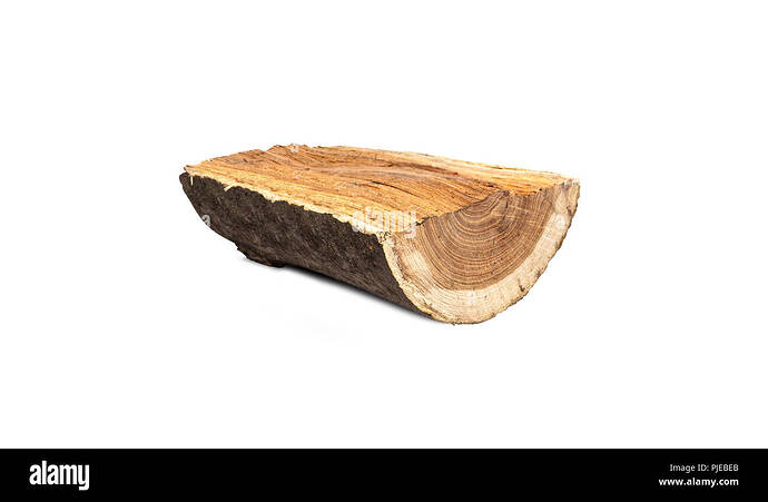 half-cut-wooden-log-isolated-on-white-background-PJEBEB