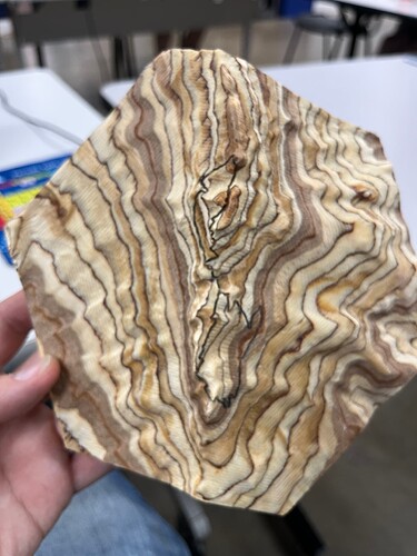 Topographical Map Straight On - Austin