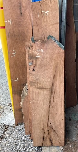 image5 (9)