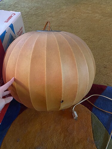 IMG-0460