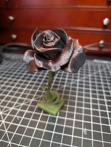 PXL_20250926_211612509(1)