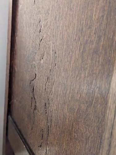 45c9bb94-b122-43f9-9c9e-bf9207bed489