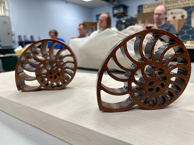 Christopher's Nautilis Shells