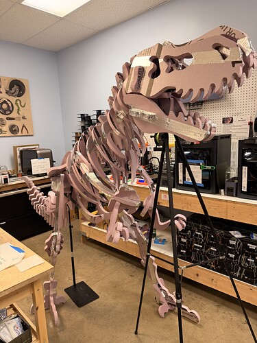 The Allosaurus, up on its stands