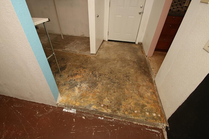 signal-2024-08-09-113620_002