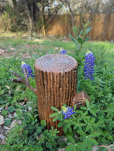 PXL_20260315_235353103~2